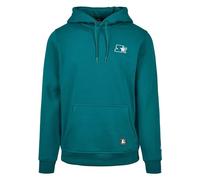 Starter Small Logo Hoody in Gr. S in Grün
