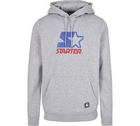 Starter Two Color Logo Hoody Männer in Gr. S in Grau