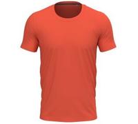 Stedman Clive Crew Neck Apricot ringgesponnene Baumwolle Small Herren