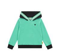 Steiff Hoodie - WINTER GREEN / 110 / 95% Baumwolle 5% Elasthan