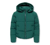 Steppjacke KIDS ONLY "KOGDOLLY SHORT PUFFER JACKET OTW", Mädchen, Gr. 146, june bug, Web, Obermaterial: 60% Polyester, 40% Nylon, unifarben, normal hüftlang, Jacken Steppjacke, mit abnehmbarer Kapuze 