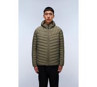 Steppjacke NAPAPIJRI "LAPAZ", Herren, Gr. M, grün (tea leaf), Obermaterial: 100% Polyamid, Jacken Steppjacke, mit Reißverschluss über die gesamte Länge (42968705-M) tea leaf