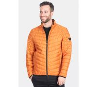 Steppjacke NEW CANADIAN, Herren, Gr. 68, orange, 100% Polyester, unifarben, kurz, hoch geschlossener Ausschnitt, Jacken Steppjacke, in tollem Stepp-Design (30394701-68) orange