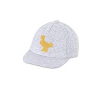 Sterntaler Baby Jungen Baby Cap Basecall Cap Dino - Baby Baseball Cap, Kinder Basecap, Kindermütze - aus Baumwolle - mehrfarbig, 49