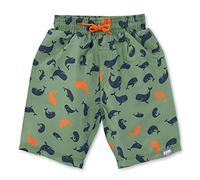 Sterntaler Baby - Jungen Badeshort Wale Badehose, Grün, 86-92