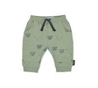 Sterntaler Baby Jungen Hose mit Bärendruck - Baby Hose, Kinder-Hose, Grün, 56