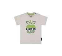 Sterntaler Baby-Jungen Kurzarm Apfel T-Shirt, lichtgrau, 80, 2642217