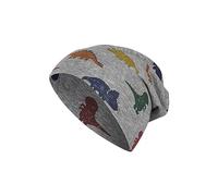 Sterntaler Baby - Jungen Mütze Baby Beanie Mütze Dinos, hellgrau, 49