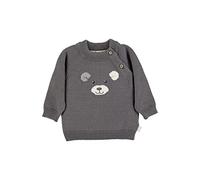 Sterntaler Baby - Jungen Pullover Baby Strick Strickpullover Eisbär Elia, Dunkelgrau, 74
