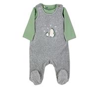 Sterntaler Baby Jungen Strampler Set Nicki Strampler - Strampler Baby - aus Nicki mit uni Single Jersey und Pinguine Stickerei - grün, 62