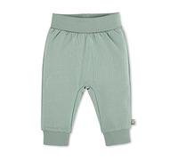 Sterntaler Kleinkind Jungen Hose Baby GOTS Hose Emmi - Baby Hose, Kinder-Hose, Baby-Hose - mit "Mitwachsbund" und Stickerei - grün, 80