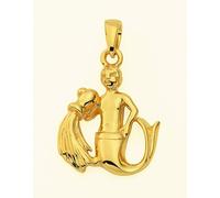 Sternzeichenanhänger ADELIA´S "Sternzeichen Anhänger Wassermann 585 Gold ( 14K )", gold, Schmuckanhänger, Damen, Wassermann, Gold, Goldanhänger Wassermann (58840309-0) gold