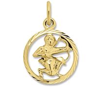 Sternzeichenanhänger ONE ELEMENT "Sternzeichen Anhänger aus 333 Gelbgold", gold, Schmuckanhänger, Damen, Schütze, Steinbock, Gelbgold 333 Gold, Gelbgold 333, Gold, Symbol mit Herz - ein feines Geschen