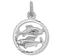 Sternzeichenanhänger ONE ELEMENT "Sternzeichen Anhänger aus 925 Silber", silber, Schmuckanhänger, Damen, Fische im Setmit Halskette, Steinbock, Silber 925 (Sterlingsilber), das perfekte Geburtstagsges