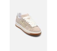 Sneaker STEVE MADDEN "STEVE MADDEN Sneaker Veloursleder", Damen, Gr. 37, beige (beige, gold), Veloursleder, casual, Schuhe (36898824-37) beige, gold