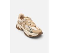 Steve Madden - Ample - gold/bronze - Sneaker - Größe 36