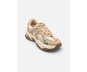 Steve Madden - Ample - Gold und Bronze - Sneaker - Größe 40