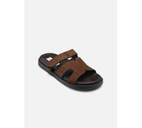 Steve Madden - Clogs & Pantoletten Missile - braun - Größe 37