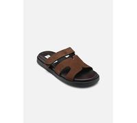 Steve Madden - Clogs & Pantoletten Missile - braun - Größe 41