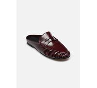 Steve Madden - Clogs & Pantoletten Rafe - Bordeaux - Größe 39