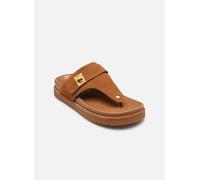 Steve Madden - Clogs & Pantoletten Tuned-IN - Braun - Größe 39