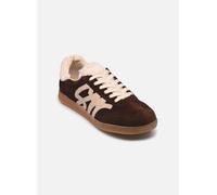Sneaker STEVE MADDEN "STEVE MADDEN Sneaker Veloursleder/Textil", Damen, Gr. 38, braun (dunkelbraun), Textil, Veloursleder, Schuhe Sneaker (63101953-38) dunkelbraun