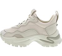 Steve Madden Manerva 40 latte