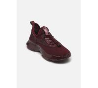 Steve Madden - Match-RE - Bordeaux - Sneaker - Größe 37