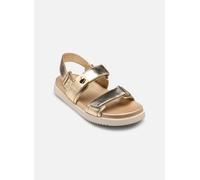 Steve Madden - Sandalen Mona - Gold und Bronze - Größe 36