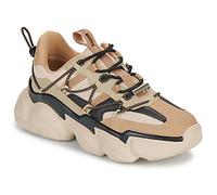 Steve Madden Sneaker SPECTATOR in Beige 37