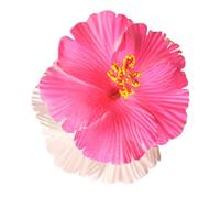 Strand-Haarspange, Hibiskus-Haarklammer, modisch, elegant, Verzierungshalter, Hibiskus-Clip, Haarspangen, Haarstyling-Werkzeug, Ornam, hawaiianische Blumen-Haarspange