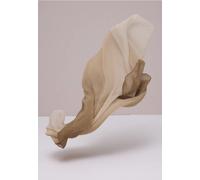 Loop STREET ONE, Damen, Gr. onesize, hatch braun, Stoff, 100% Polyester, leicht transparent, Modetücher Loop, mit Farbverlauf (96251312-0) hatch braun