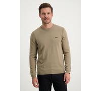 Strickpullover BOSS GREEN, Herren, Gr. XXL, beige (light, pastel grün334), Strick, Obermaterial: 100% Baumwolle, unifarben, regular fit normal, Rundhals, Bündchen, Pullover Strickpullover, Rundhalsaus
