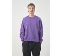 Strickpullover CLEPTOMANICX "Boxy Crewneck Ligull Boxy Crop", Herren, Gr. M, lila (purpurviolett), 100% Baumwolle, bestickt, kurz, Rundhals, Pullover Strickpullover, mit lockerem Schnitt (61824469-M) 