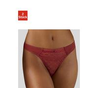 String PETITE FLEUR, Damen, Gr. 40/42, braun (haselnuss, puder), Microtouch, Obermaterial: 90% Polyamid, 10% Elasthan, figurbetont, Unterhosen String, aus modischer Spitze (31866056-40) haselnuss, pud