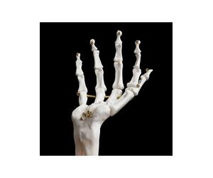 SuckUK Schmuckhalter ''Skeleton Hand'' in Weiß - (B)14 x (H)21,5 x (T)11,8 cm - 14% | Aufbewahren Servieren