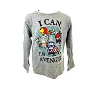 Sun City Avengers Marvel Langarm T-Shirt Pullover (HU1293) Gr. 140 grau