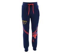 Sun City Spider-Man Kinder Jogging-Hose Jungen Trainingshose Sporthose (as3, Numeric, Numeric_98, Regular, Grau)