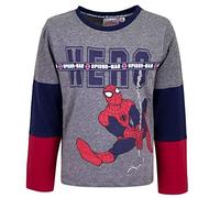 Sun City Spiderman Langarmshirt Farbe grau (98)