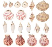 SUNNYCLUE 1 Schachtel 20 Stück 10 verschiedene Designs Natürliche Muschelanhänger Süßwassermuscheln Aus Eisen Goldplattierter Rand Sommerliche Strandanhänger Mit Meeresmotiven Ideal Für Schmuckherstel