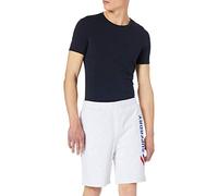 Superdry Mens Sportstyle Applique Shorts, Ice Marl, L