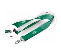 SV Werder Bremen - Schlüsselband Raute - grün