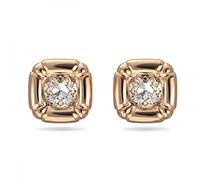 Swarovski Dulcis Damen-Knopfohrringe 5617910