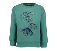 Sweater BLUE SEVEN "Sweatshirt", Jungen, Gr. 104, grün (7471, tanne), 100% Baumwolle, normal normal, Rundhals, gerader Abschluss, Sweatshirts Sweater (43153810-104) 7471, tanne