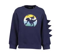Sweater BLUE SEVEN "Sweatshirt", Jungen, Gr. 110, blau (5900, nachtblau), 100% Baumwolle, normal normal, Rundhals, gerader Abschluss, Sweatshirts Sweater (41903404-110) 5900, nachtblau