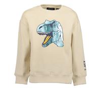 Sweatshirt BLUE SEVEN, Jungen, Gr. 128, beige (kiesel), Sweatware, Obermaterial: 100% Baumwolle, bedruckt, unifarben, Basic normal, Rundhals, Rippbündchen, Sweatshirts Sweatshirt, Baumwolle (83866437-