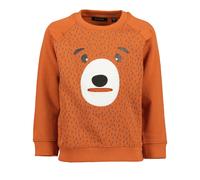 Sweater BLUE SEVEN "Sweatshirt", Jungen, Gr. 98, orange (2820, kupfer), 100% Baumwolle, normal normal, Rundhals, gerader Abschluss, Sweatshirts Sweater (51843261-98) 2820, kupfer