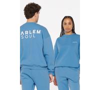 Sweater HARLEM SOUL, Damen, Gr. M, blau (electric sky), Material: 65% Baumwolle, 35% Polyester, bedruckt, regular fit, Rundhals, eingesetzt Rippbündchen, Sweatshirts Sweater, mit weicher Innenseite (8
