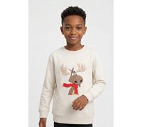 Sweater TOM TAILOR, Jungen, Gr. 128/134, beige (grauish weiß), Sweatware, Obermaterial: 70% Baumwolle, 30% Polyester, bedruckt, regular fit hüftbedeckend, Rundhals, Flachstrickbündchen, Sweatshirts Sw