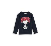 Sweater TOM TAILOR, Jungen, Gr. 128/134, blau (sky captain blau), Sweatware, Obermaterial: 70% Baumwolle, 30% Polyester, bedruckt, regular fit hüftbedeckend, Rundhals, Bündchen, Sweatshirts Sweater, m